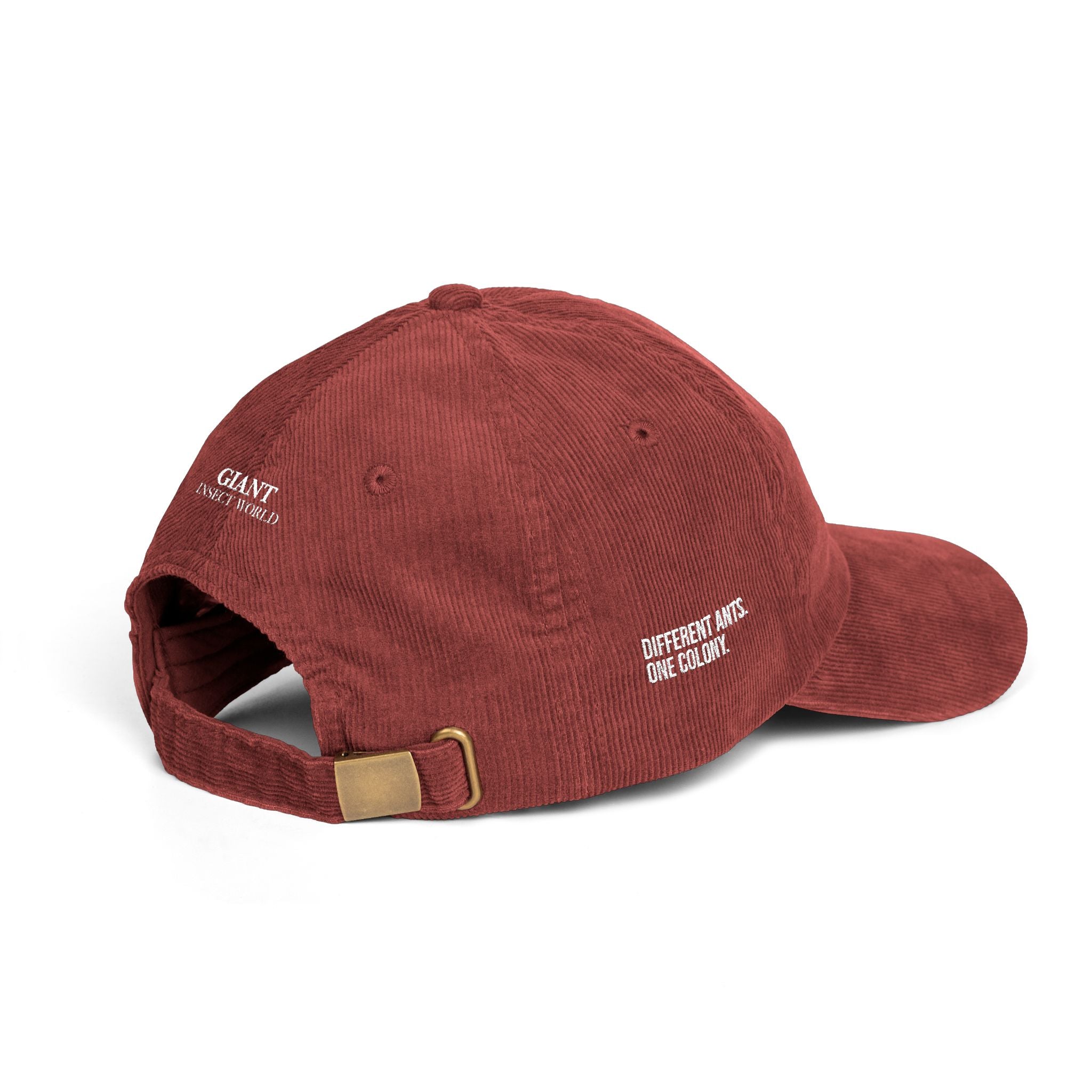 Different ants, one colony corduroy embroidered cap