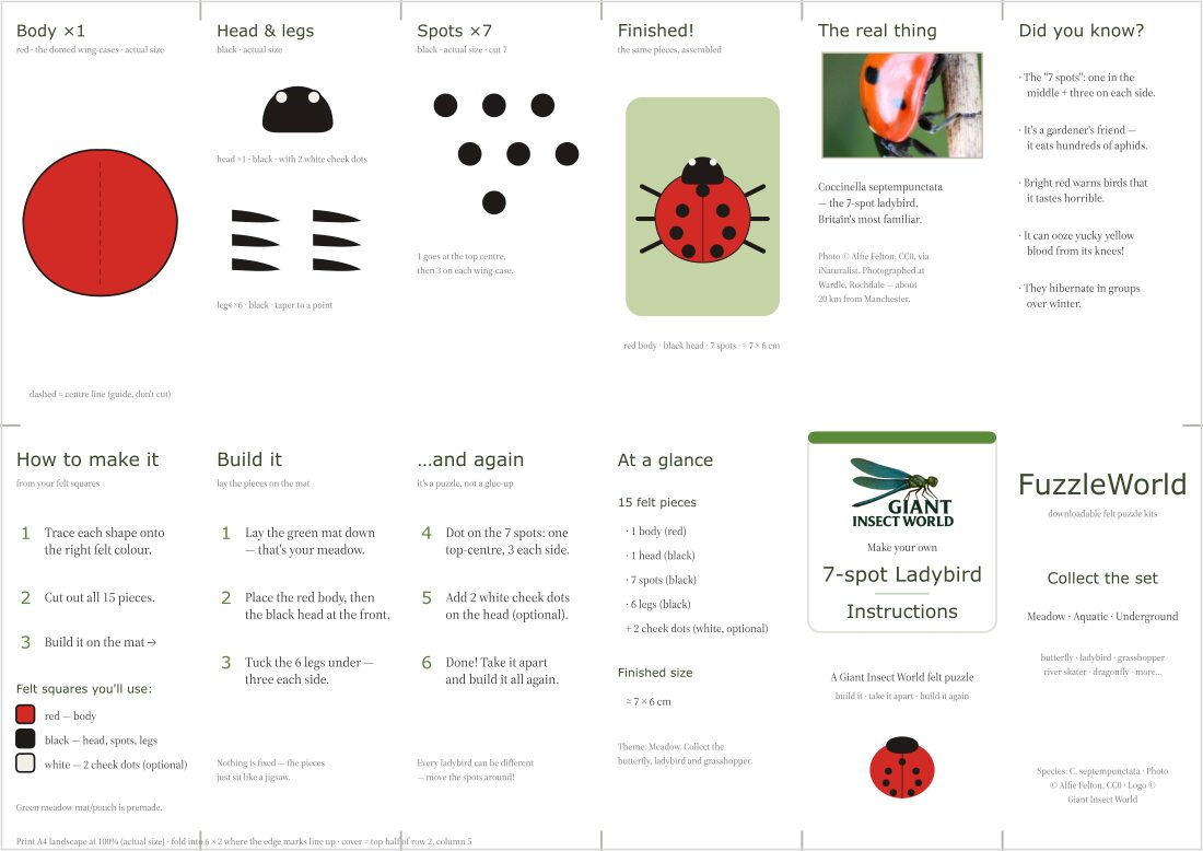 7-spot Ladybird felt puzzle kit (Fuzzle)