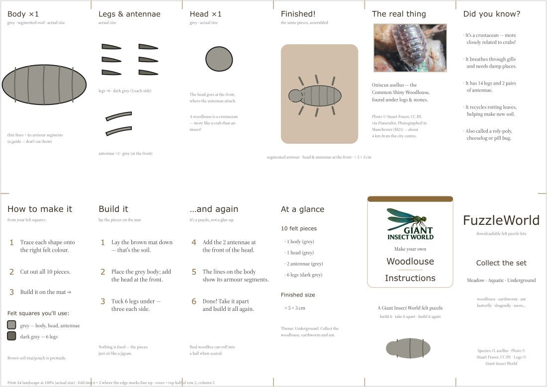 Woodlouse felt puzzle kit (Fuzzle)