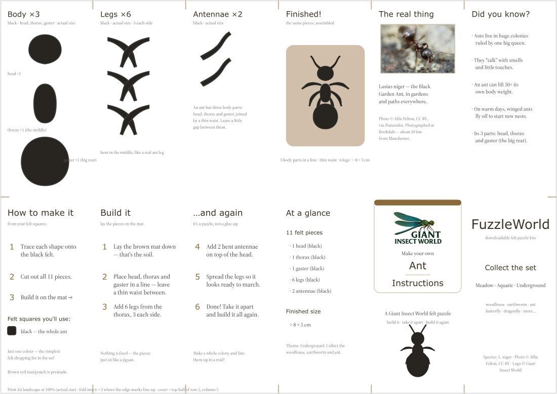 Garden Ant felt puzzle kit (Fuzzle)