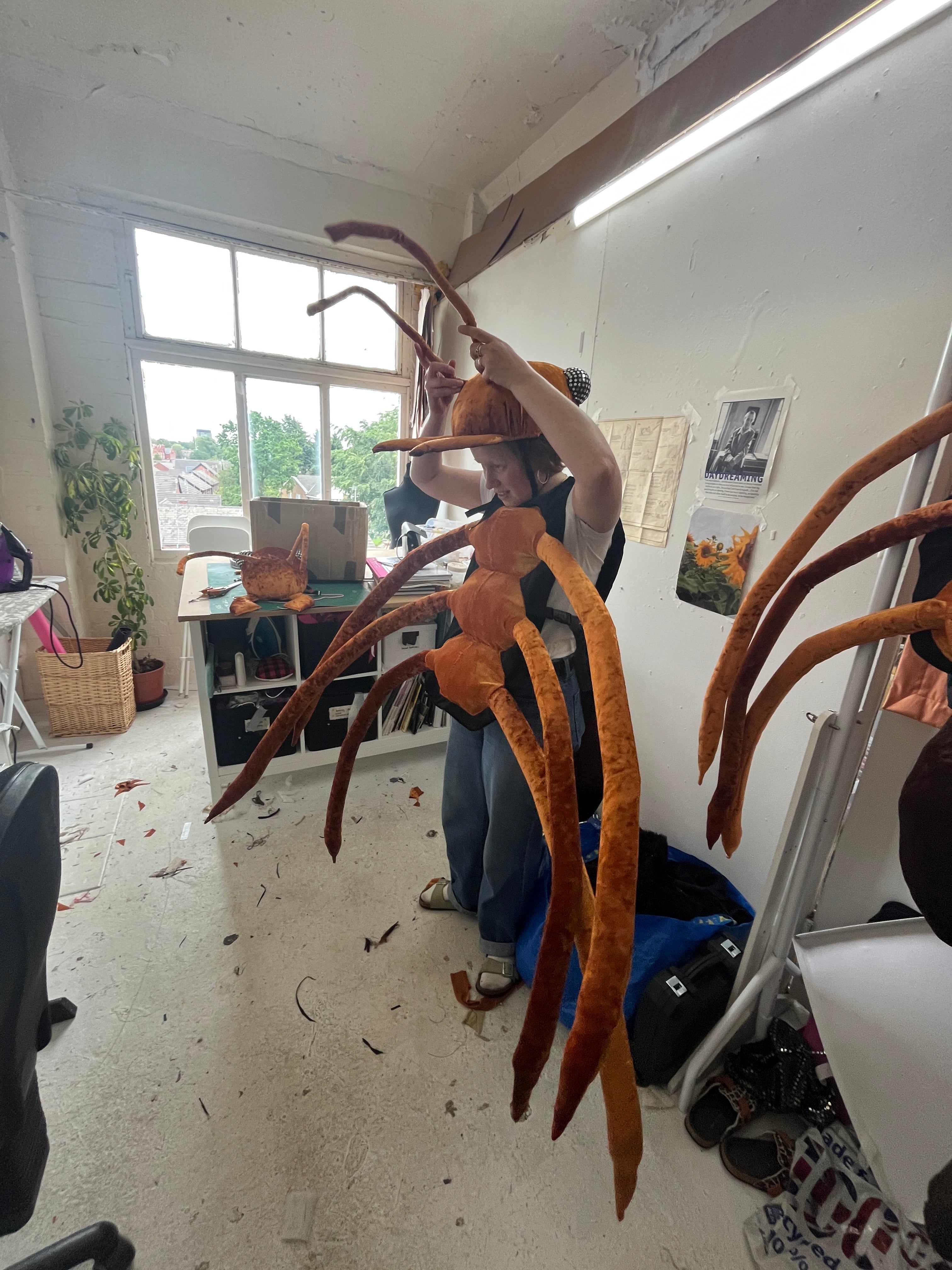 Giant insect costume - wood ant edition