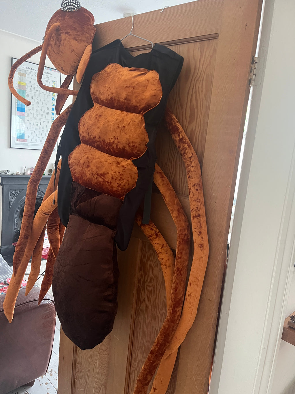 Giant insect costume - wood ant edition