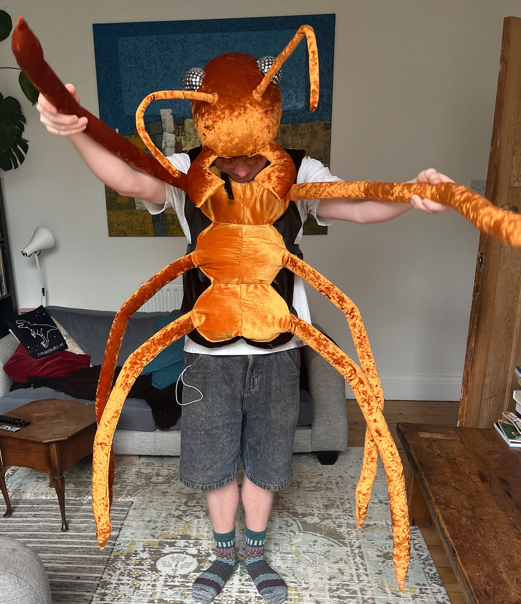 Giant insect costume - wood ant edition