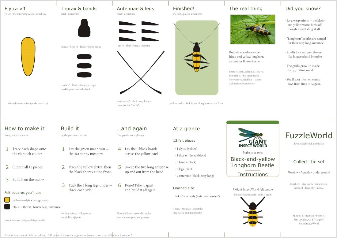 Longhorn Beetle felt puzzle kit (Fuzzle)