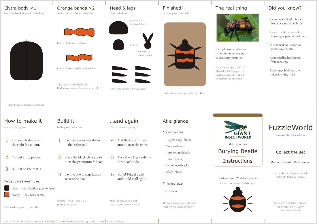 Burying Beetle felt puzzle kit (Fuzzle)